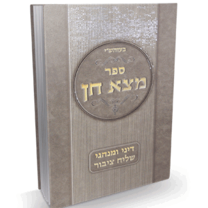 מצא-חן-הדמיה