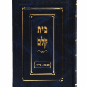 מקלם-אמונה-הדמיה