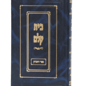 מקלם-זכרון-הדמיה