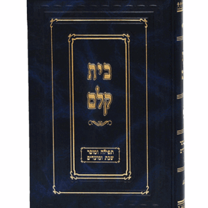 מקלם-תפילה-הדמיה