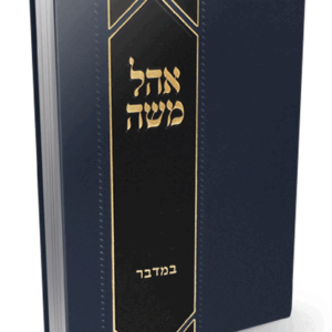 משה-במדבר-הדמיה