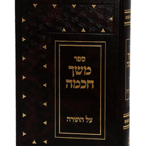 משך-חכמה-הדמיה