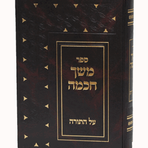 משך-יפה-הדמיה