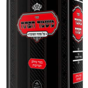 משמר-הפתח-הדמיית-ספר-1