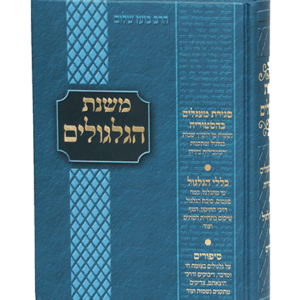 משנת-הגלגולים-הדמיה