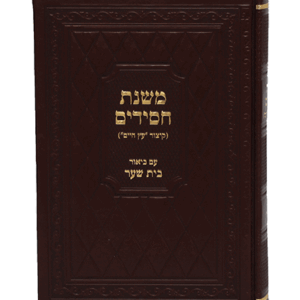 משנת-חסידים-הדמיה