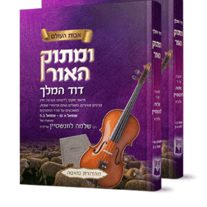 מתוק-דוד-הדמיה