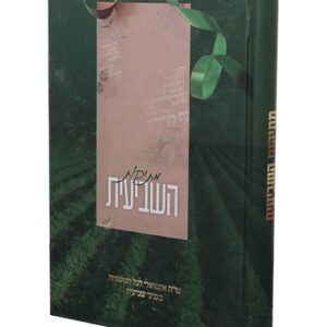 מתיקות-השביעית-2