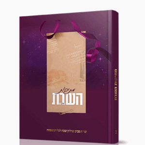 מתיקות-השבת-א-הדמיה