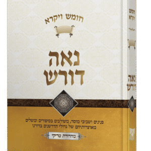 נאה-דורש-ויקרא-הדמיה