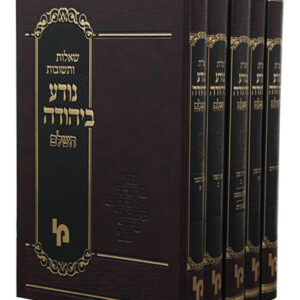 נודע-ביהודה-2