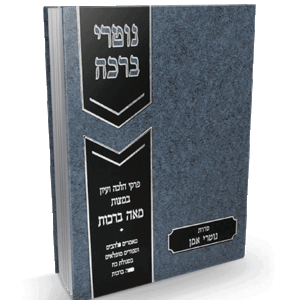 נוטרי-ברכה-הדמיה