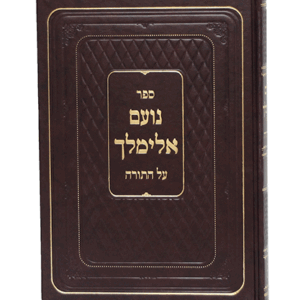 נועם-יפה-הדמיה