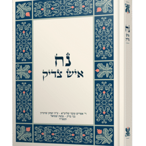 נח איש צדיק