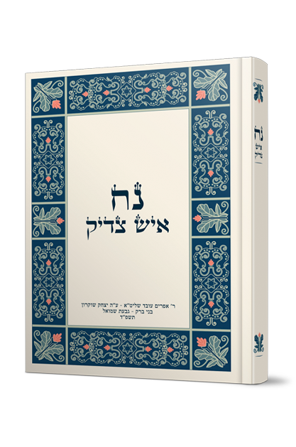 נח איש צדיק