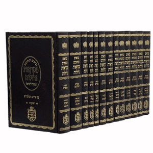 נך-המאיר-הדמיה