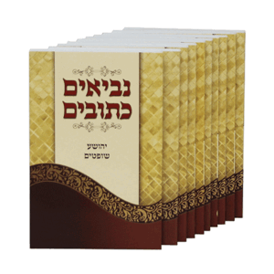 נך-רכה-חדש-הדמיה