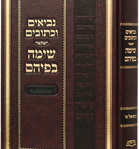 נך-שימה-בפיהם