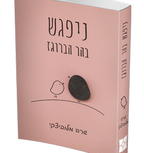 נפגש-בהר-הברוגז-הדמיה