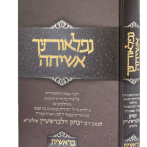 נפלאותיך-אשיחה-בראשית