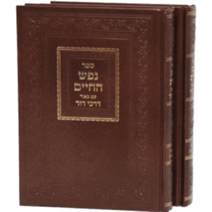 נפש-דרכי-דוד-הדמיה