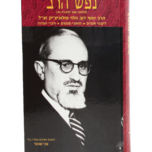 נפש-הרב-הדמיה