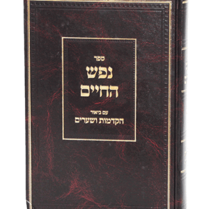 נפש-חיים-הדמיה