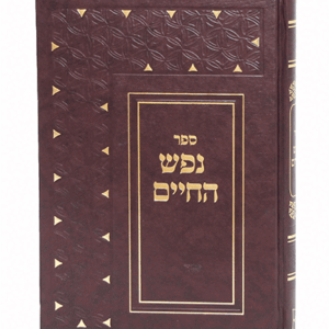 נפש-יפה-הדמיה