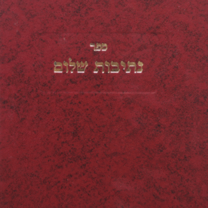 נתיבות-שלום-2