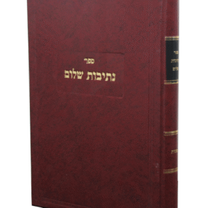 נתיבות-שלום-copy