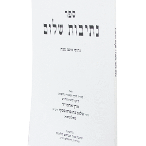 נתיבות-שלום-נתיבי-נועם-שבת-copy