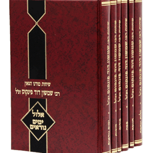 סט-מועדים-פינקוס-הדמיה