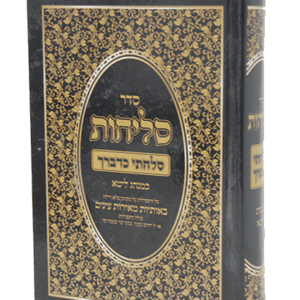 סלחתי-ליטא-הדמיה