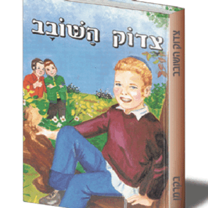 ספריה-בקרמן-2-הדמיה