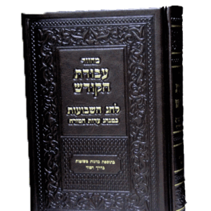 עבודת-הקודש-הדמיה