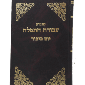 עבודת-התפילה-הדמיה