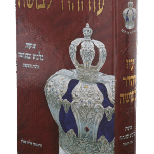 עוז-והדר-לבושה-2