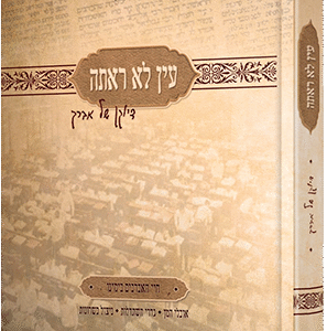 עין לא ראתה - דיוקן של אברך