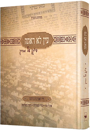 עין לא ראתה - דיוקן של אברך