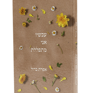 עכשיו-אני-מתפללת-