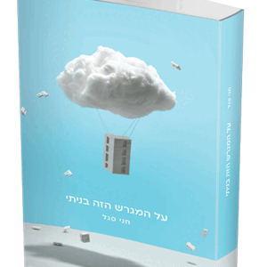 על-המגרש-הזה-בניתי-הדמיה