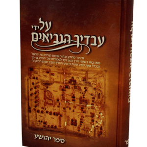 על-ידי-עבדיך-הדמיה