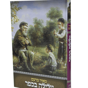 עלילה-בכפר-הדמיה