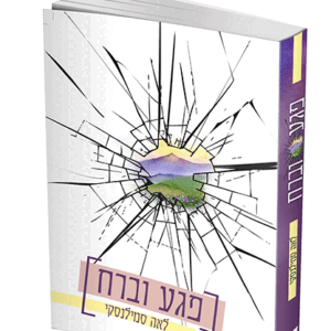 פגע-וברח-הדמיה-1