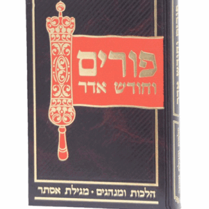 פורים-וחודש-הדמיה