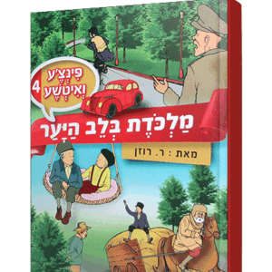 פינצע-4-הדמיה