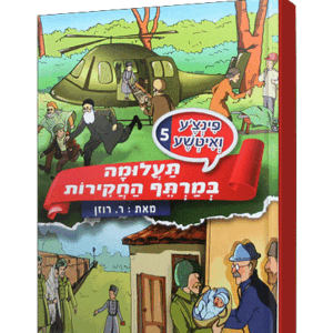 פינצע-5-הדמיה