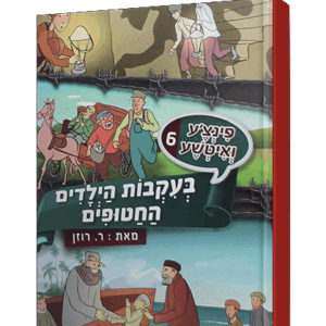 פינצע-6-הדמיה