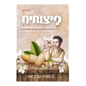 פיצוחים-