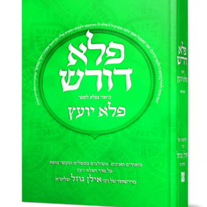 פלא-דורש-ג-הדמיה-scaled